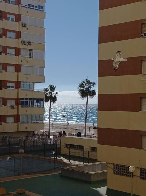 Alegrias De Cadiz By Gades Gestion Cádis Exterior foto